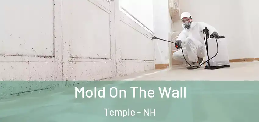  Mold On The Wall Temple - NH