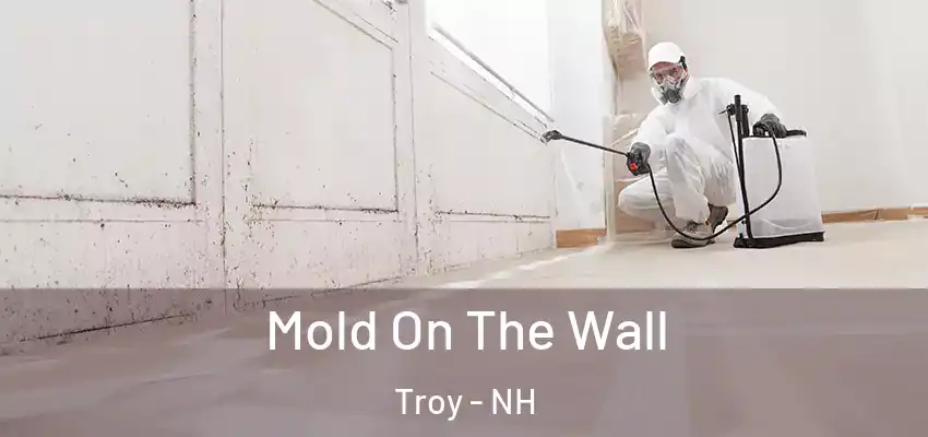  Mold On The Wall Troy - NH