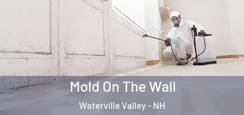  Mold On The Wall Waterville Valley - NH