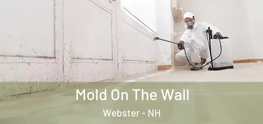  Mold On The Wall Webster - NH
