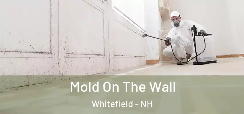 Mold On The Wall Whitefield - NH