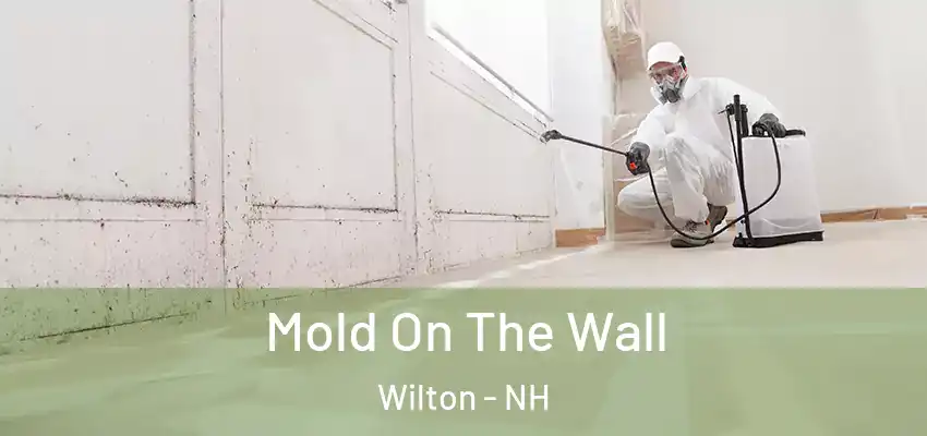  Mold On The Wall Wilton - NH