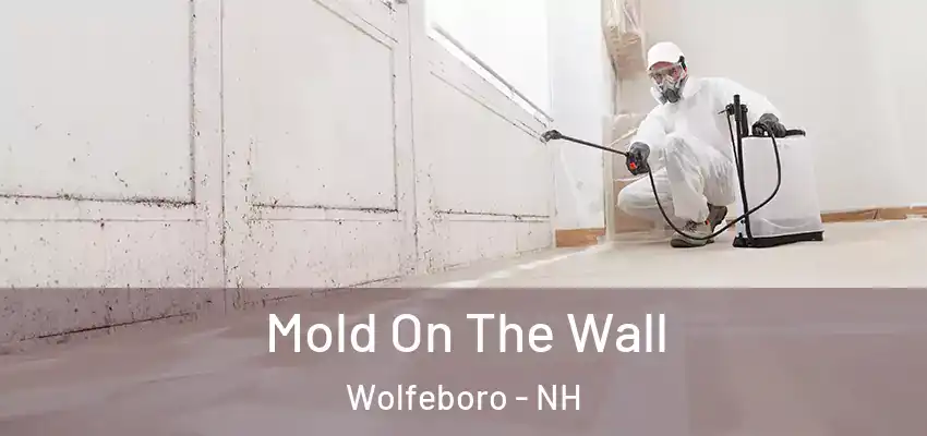  Mold On The Wall Wolfeboro - NH