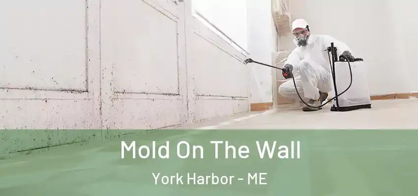  Mold On The Wall York Harbor - ME