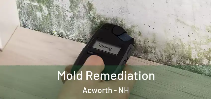 Mold Remediation Acworth - NH
