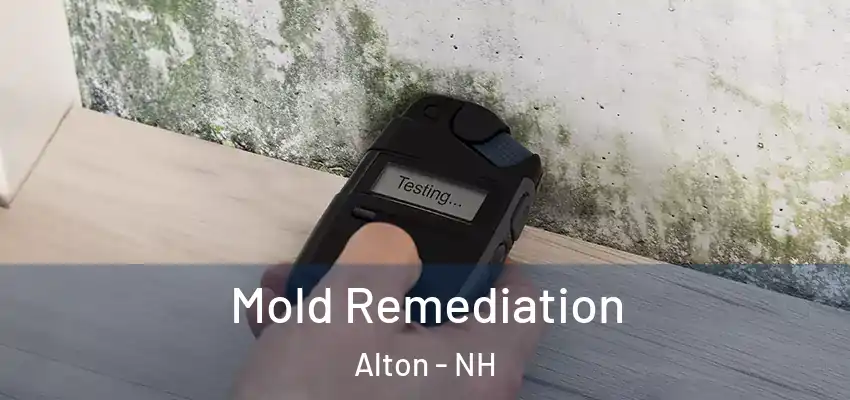  Mold Remediation Alton - NH