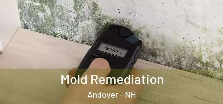 Mold Remediation Andover - NH