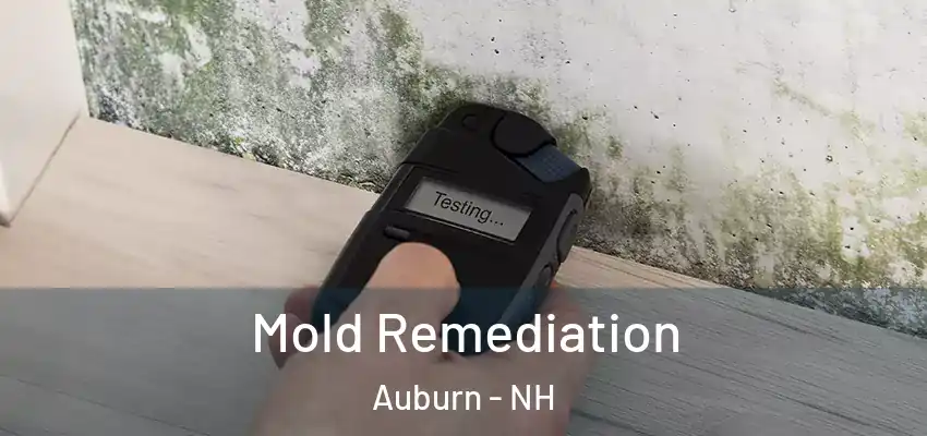 Mold Remediation Auburn - NH