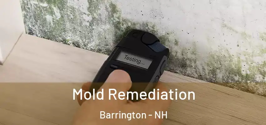 Mold Remediation Barrington - NH