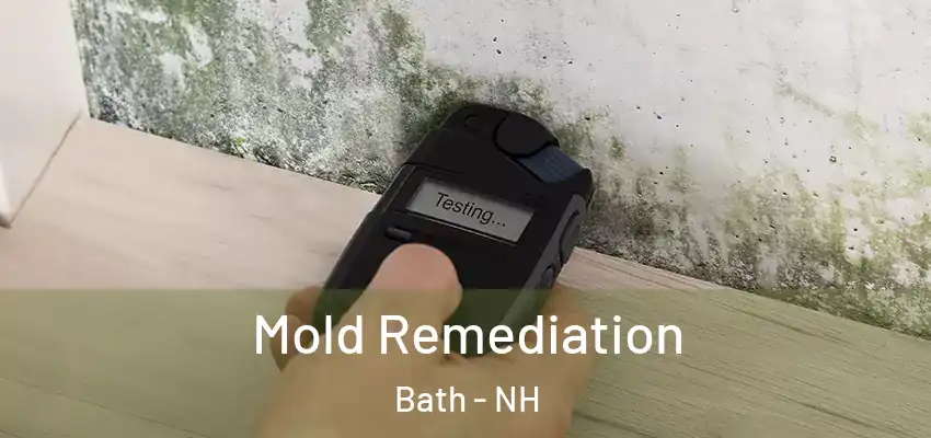 Mold Remediation Bath - NH
