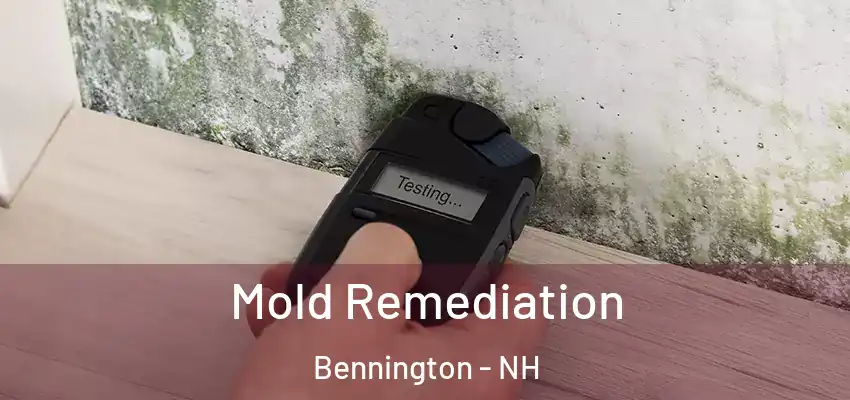  Mold Remediation Bennington - NH