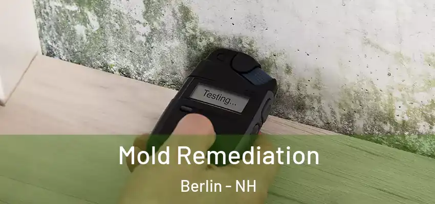 Mold Remediation Berlin - NH