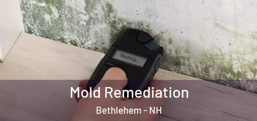Mold Remediation Bethlehem - NH