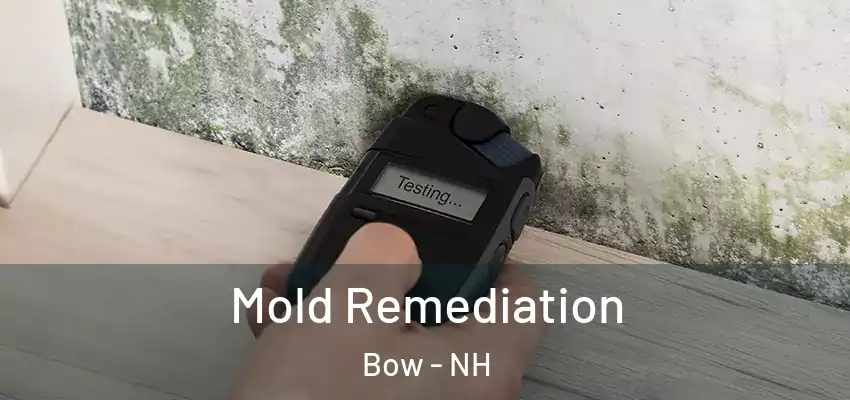 Mold Remediation Bow - NH
