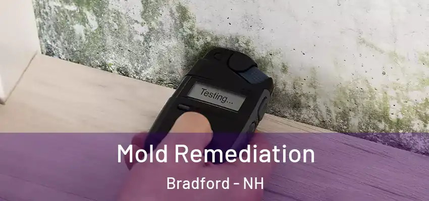  Mold Remediation Bradford - NH