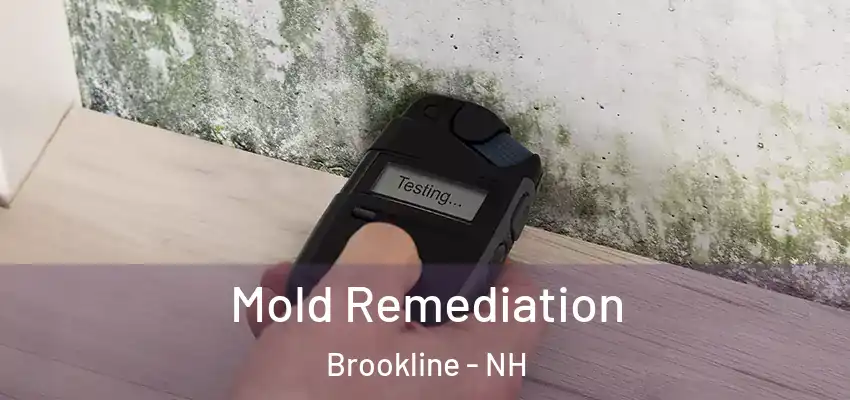 Mold Remediation Brookline - NH