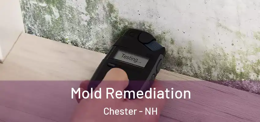  Mold Remediation Chester - NH
