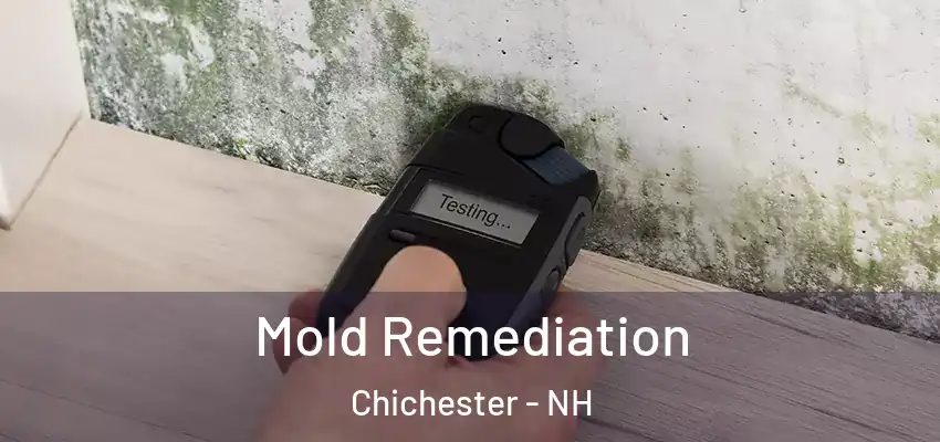  Mold Remediation Chichester - NH