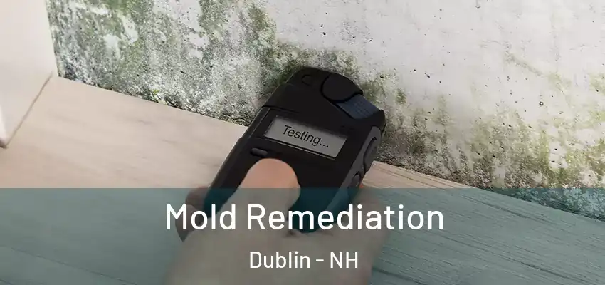  Mold Remediation Dublin - NH