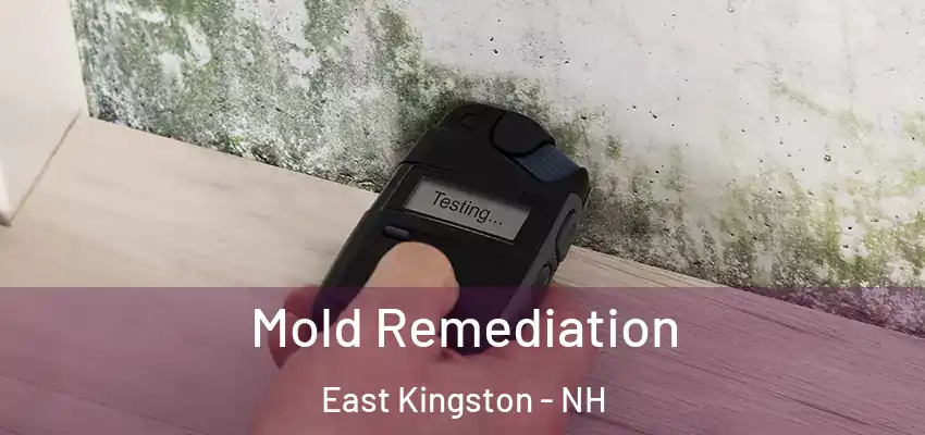  Mold Remediation East Kingston - NH