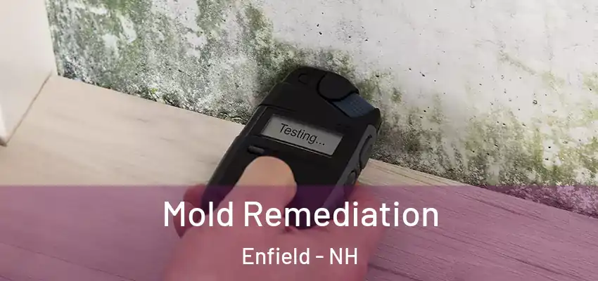  Mold Remediation Enfield - NH