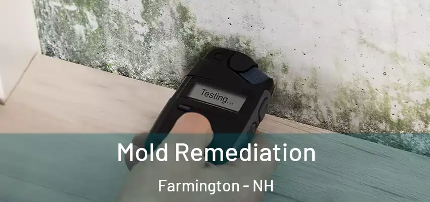  Mold Remediation Farmington - NH