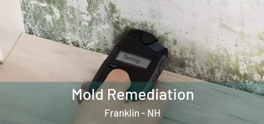  Mold Remediation Franklin - NH