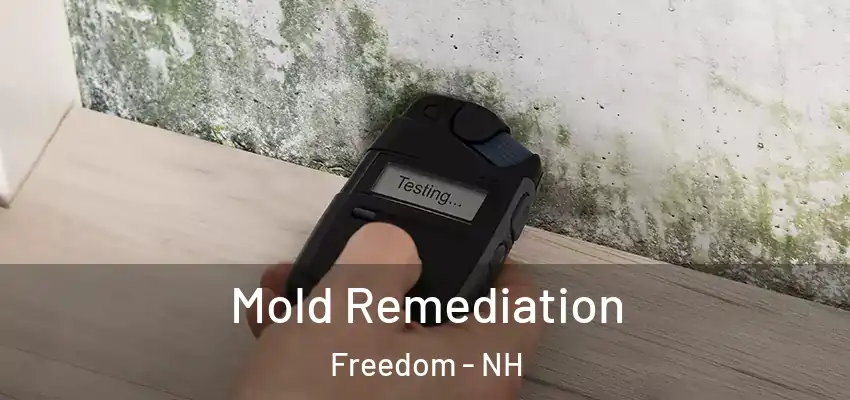 Mold Remediation Freedom - NH