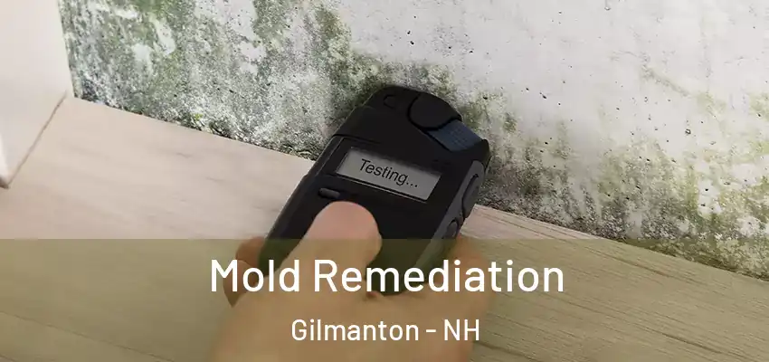  Mold Remediation Gilmanton - NH