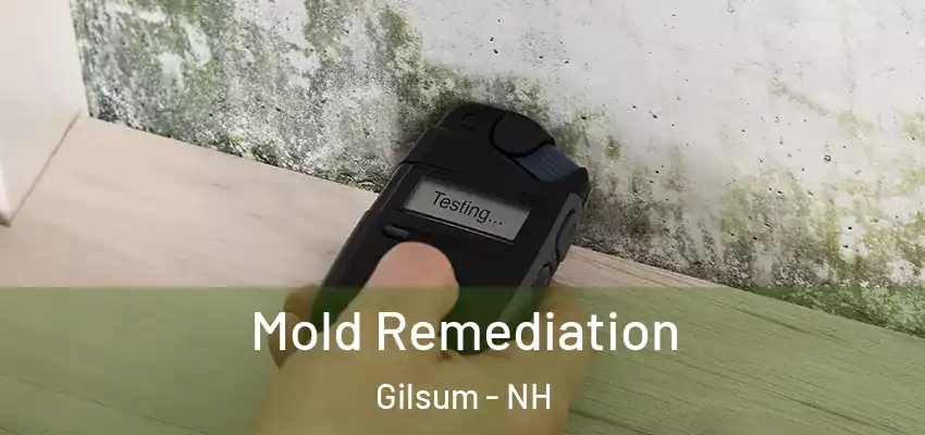 Mold Remediation Gilsum - NH