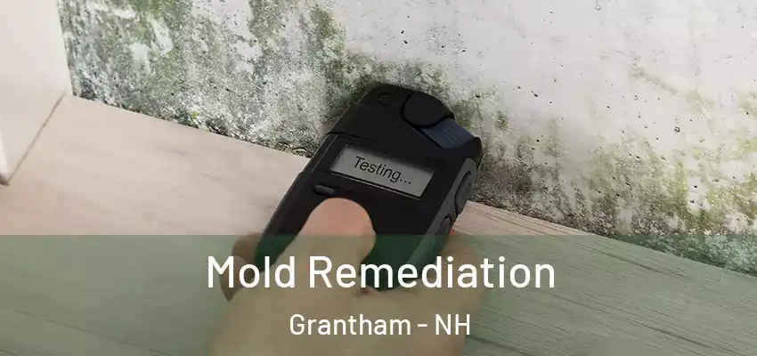 Mold Remediation Grantham - NH