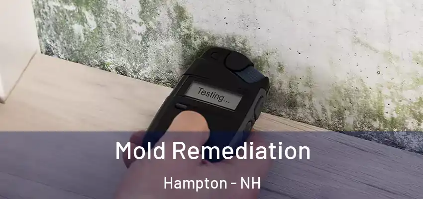  Mold Remediation Hampton - NH
