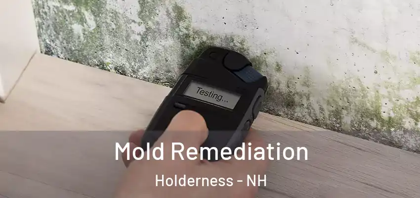  Mold Remediation Holderness - NH