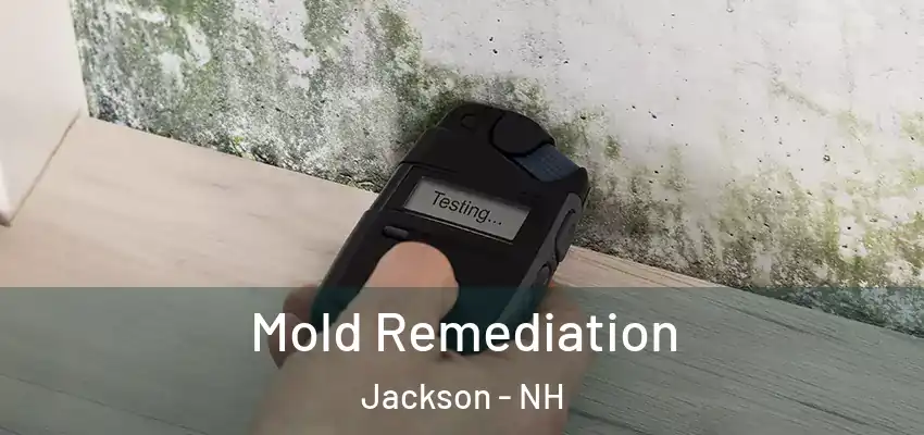Mold Remediation Jackson - NH