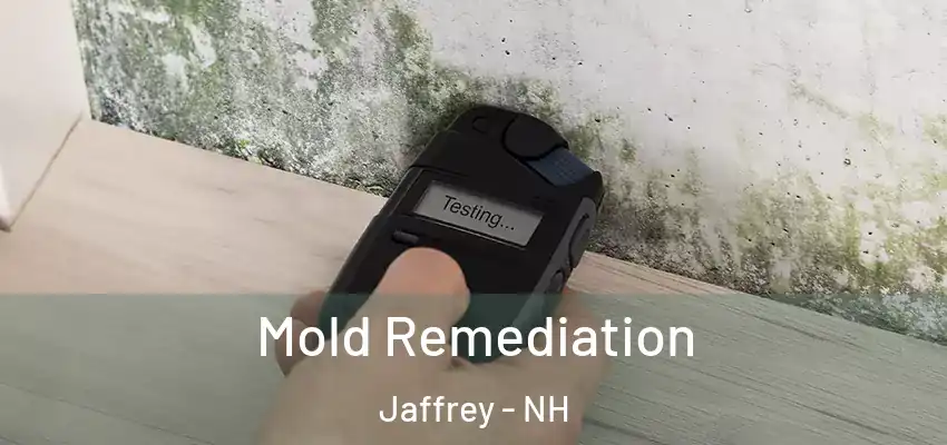  Mold Remediation Jaffrey - NH