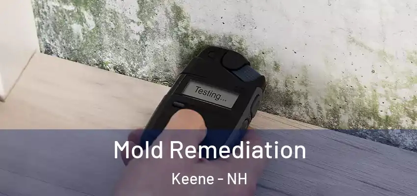  Mold Remediation Keene - NH