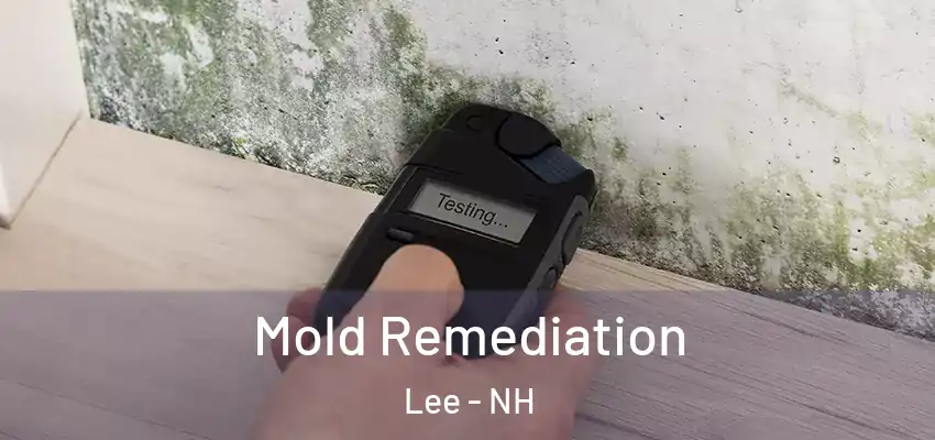  Mold Remediation Lee - NH