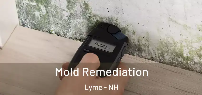 Mold Remediation Lyme - NH