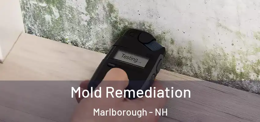  Mold Remediation Marlborough - NH