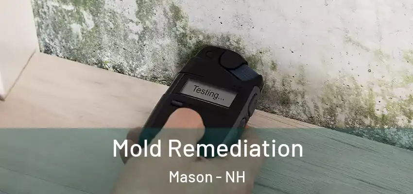  Mold Remediation Mason - NH