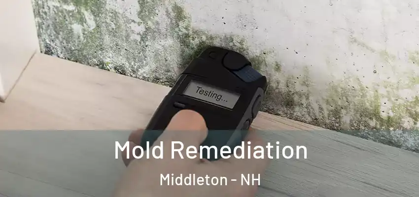  Mold Remediation Middleton - NH