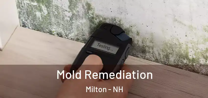  Mold Remediation Milton - NH