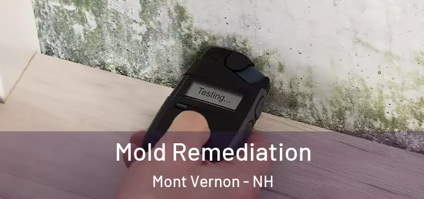  Mold Remediation Mont Vernon - NH