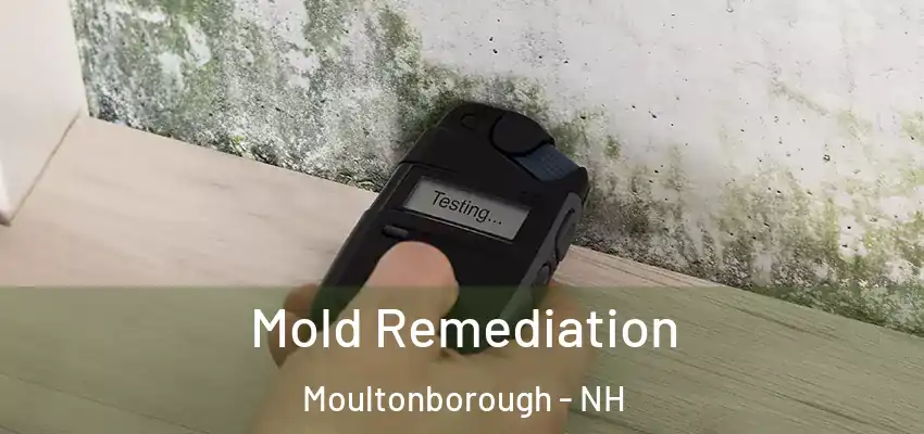 Mold Remediation Moultonborough - NH