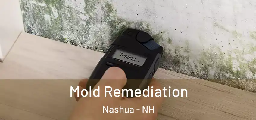 Mold Remediation Nashua - NH