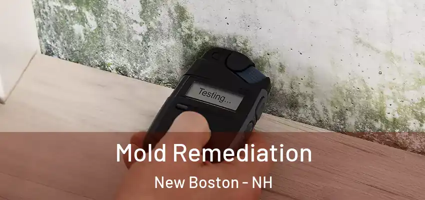  Mold Remediation New Boston - NH