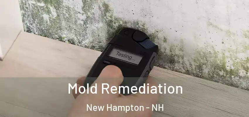 Mold Remediation New Hampton - NH