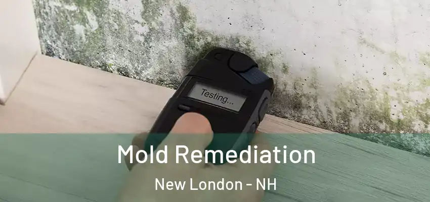  Mold Remediation New London - NH