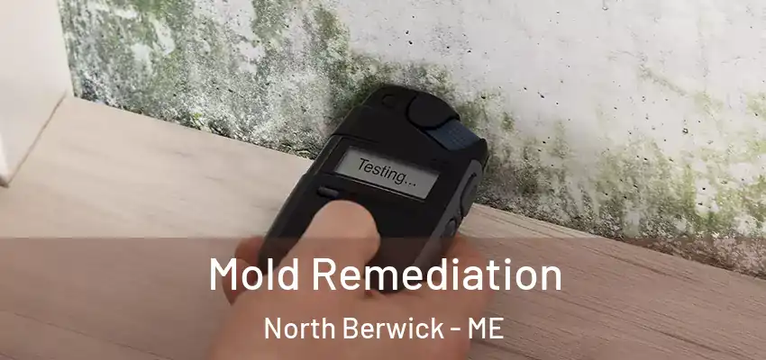  Mold Remediation North Berwick - ME