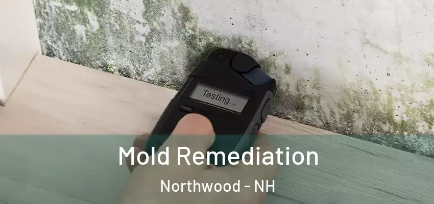  Mold Remediation Northwood - NH